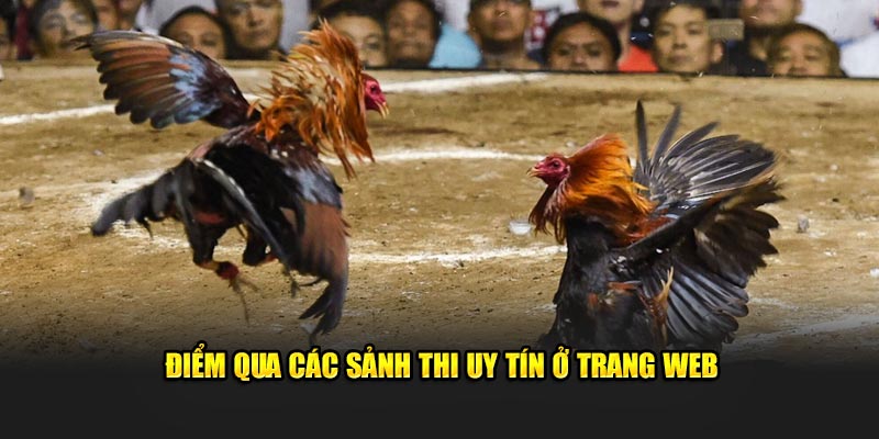 Điểm qua các sảnh thi uy tín ở trang web