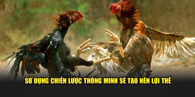 Sử dụng chiến thuật thông minh sẽ tạo nên lợi thế